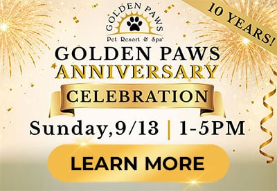 Celebrate our 10 Year Anniversary with us!